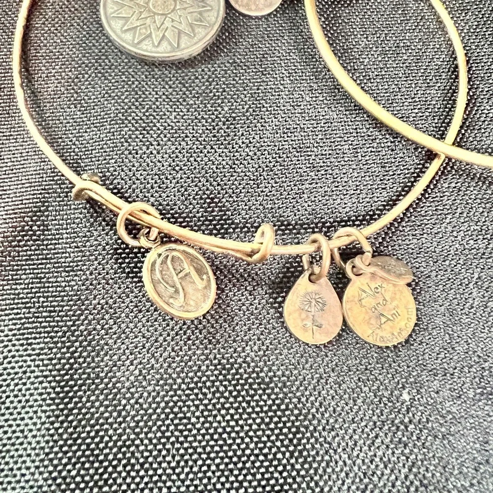 Alex‎ & Ani Expandable Charm Bangles Lot Of 3 Mixed Metals Wear Patina Stack